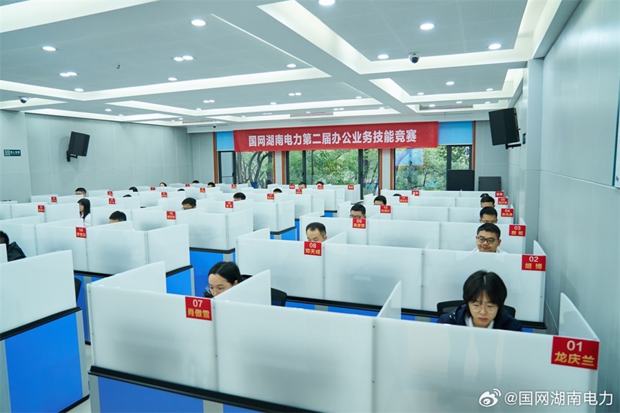 湖南國家電網22個分支機構供電公司 (9)